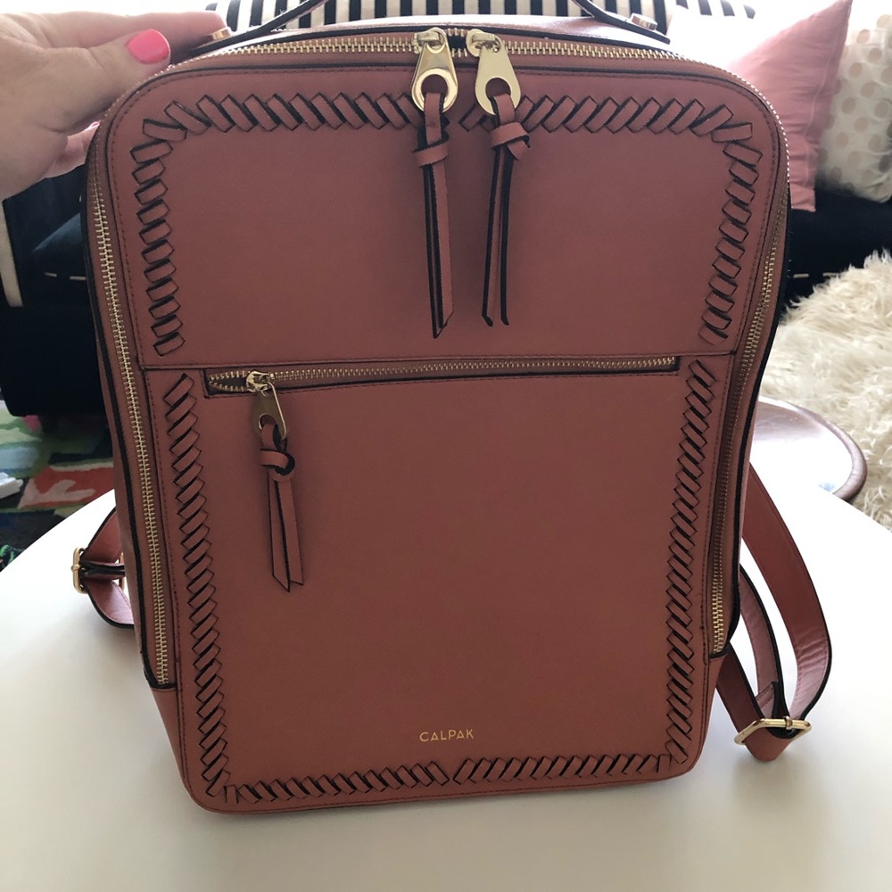 Calpack Travel/Laptop Backpack in a Retired Color